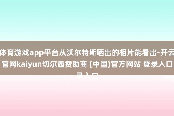 体育游戏app平台从沃尔特斯晒出的相片能看出-开云官网kaiyun切尔西赞助商 (中国)官方网站 登录入口