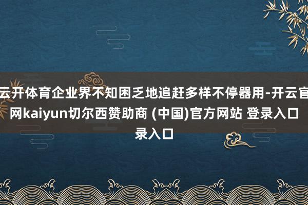 云开体育企业界不知困乏地追赶多样不停器用-开云官网kaiyun切尔西赞助商 (中国)官方网站 登录入口